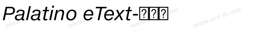 Palatino eText字体转换 Palatino eText字体转换